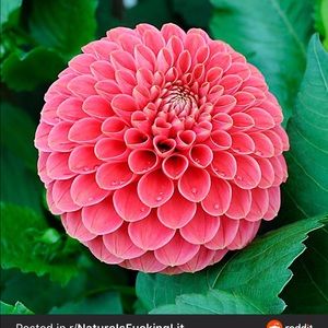 Meet your Posher, Marc